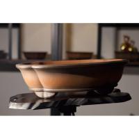 ราคา บอนไซ - กระถางดินเผานำเข้า C1 (43563876461)