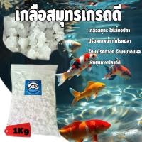 ราคา เกลือสมุทร คัดเกรด ดอกเกลือ (41525531475)