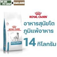 ราคา Royal Canin Vet 14 Kg Hypoallergenic หมาภูมิแพ้อาหาร exp 05/26 (28362645957)