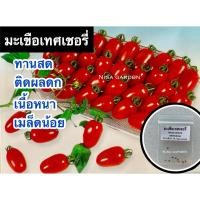 ราคา (10 แถม 2)เมล็ดมะเขือเทศเชอร์รี่ ทับทิมแดง ทานสด ติดผลดก ผลผลิตสูง (25156064301)