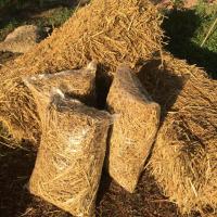 ราคา ฟางข้าว #ฟาง#ฟางข้าว#ฟางเพาะเห็ด(1กิโล) (6435774730)