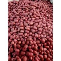 ราคา ถั่วลิสง เมล็ดพันธุ์ถั่วลิสง ปลูกได้ ทานได้ 1กิโลกรัม พร้อมปลูก (43754262853)