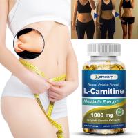 ราคา XEMENRY L-Carnitine Fumarate 1000 มก./เม็ด - Boost Cellular Energy (43609882274)