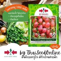 ราคา Sorndang(ศรแดง) EWCOM ปริมาณ 2000 เมล็ด มะเขือเทศสีดาลูกผสม เพชรชมพู2 ตราศรแดง (23681513848)