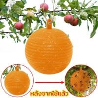 ราคา ลูกบอลดักแมลง กาวดักแมลงวัน ที่ดักแมลงวัน ดักแมลงวัน ที่ไล่แมลงวัน ไล่แมลงวัน เครื่องไล่แมลงวัน ลูกบอลไล่แมลง (27118962965)