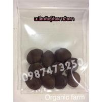 ราคา เมล็ดพันธุ์ ถั่วดาวอินคา ต้นดาวอินคา ดาวอินคา (5820785419)