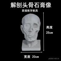 ราคา ร่างแม่พิมพ์อวตารยังคงชีวิตยังคงชีวิตรูปปั้นปูนปลาสเตอร์ร่างกะโหลกช่วยสอนอวตารศิลปะกายวิภาคศาสตร์ตกแต่ง เคทีทีซี (41326066325)