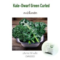 ราคา คะน้าใบหยิก เคล คะน้าฝรั่ง เคลไดโนเสาร์ 100 เมล็ด (5033956167)