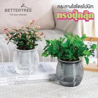 ราคา กระถางรดน้ำอัตโนมัติ(รุ่นปุ๊กลุ๊ก) ไฮโดรโปนิก รดน้ำอัตโนมัติ กระถางต้นไม้ (27656693805)