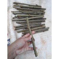 ราคา กิ่งหม่อนพันธุ์พื้นบ้าน (23322765520)