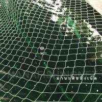 ราคา ตาข่ายคลุมบ่อปลา ปลาคาร์พ ปลาเลี้ยง สระน้ำ อ่างเลี้ยงปลา UV Protection (5692537533)