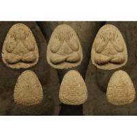 ราคา พระปิดตามหาลาภ 3 องค์ พิมพ์ใหญ่ วัดลาดปลาดุก หลวงปู่โต๊ะ / หลวงพ่อแสวง (26954710713)