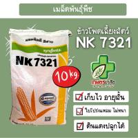 ราคา ข้าวโพดเลี้ยงสัตว์ NK7321 10กิโล (27605921250)
