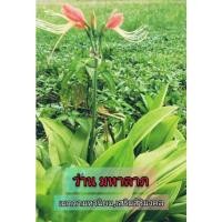 ราคา หัวว่านมหาลาภ​ (สั่งขั้นต่ำ​10​หัว)​ว่านหงสาวดี​ เสริมสิริมงคล​ (5494316321)