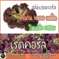 ราคา เมล็ดผักสลัด เรดคอรัล ผักสลัด เรดคอรัล ผักเพื่อสุขภาพ ผักสลัด อาหารคลีน คลอรัล เรดคอส กรีนโอ๊ค 60 (8613560962)