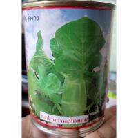 ราคา คะน้า คะน้าหวาน เห็ดหอม เก็บเกี่ยว 50 วันหลังหว่าน ต้นใหญ่อวบ ใบน้อย ต้นกรอบ หวาน 1กระป๋อง (13404145022)