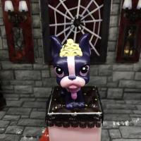 ราคา โมเดล ฟิกเกอร์ แท้ - น้องหมาหัวดุ๊กดิ๊กได้ น่ารักมาก (9773994567)