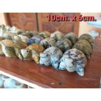 ราคา เต่าหินอ่อน 10cm×6cm. เต่าหินอ่อน เต่าหินอ่อน เต่าหินอ่อน (4450676914)