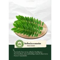 ราคา ใบขี้เหล็กออแกนิคเก็บสด (21783366963)