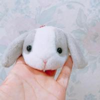 ราคา พวงกุญแจ ตุ๊กตา กระต่าย อมูส กระเป๋าใส่เหรียญ amuse rabbit (24155974179)
