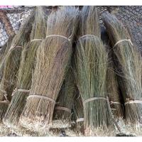 ราคา ดอกหญ้าแขม ทำไม้กวาด#ดอกเเขมเกรดAAA(1กก.ราคา135บาท) (15348715491)