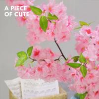 ราคา ดอกซากุระปลอม ซากุระปลอม ดอกซากุระประดิษฐ์ ดอกไม้ปลอม ดอกไม้ประดิษฐ์ ดอกไม้แต่งบ้าน ของขวัญ พร้อบถ่ายรูป_apxsuk01 (4069224049)