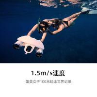 ราคา Sublue White Shark MIX2025 Underwater Booster ส่งเสริมการดำน้ำอย่างสะดวกและปลอดภัย (42776312471)