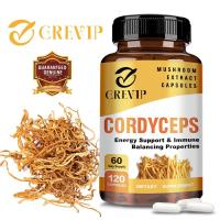 ราคา อาหารเสริมเห็ด Cordyceps - รองรับพลังงาน, รองรับอาหารเสริมภูมิคุ้มกันสมดุล - ส่วนผสมเห็ดระดับพรีเมียม (27484433672)