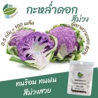 ราคา เมล็ดพันธุ์ กะหล่ำดอกสีม่วง (Purple Cauliflower) (25713337220)