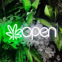 ราคา (5V-USB)ป้ายไฟ ป้ายไฟร้าน ป้ายไฟตัวอักษร ป้ายไฟวิ่ง ป้ายไฟled ป้ายไฟopen ป้ายไฟตกแต่งผนัง ป้ายไฟใบเขียว+OPEN งานอะคลิลิต (28135094196)