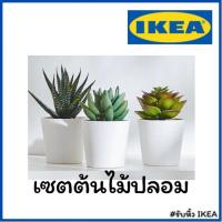 ราคา รับหิ้ว เซตต้นไม้ปลอม ต้นไม้ประดิษฐ์ ต้นไม้ขนาดเล็ก 3 กระถาง เฟคก้า fejka (9711489717)