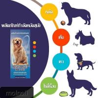 ราคา ECTO-TAK เอ็คโต-แทค ผลิตภัณฑ์กำจัด หมัด เห็บ เหา ไรขี้เรื้อน สุนัข ขนาด 100 ml. (3753396046)