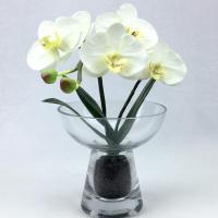 ราคา OrientalFineArt ดอกกล้วยไม้ประดิษฐ์ แจกันดอกไม้ประดิษฐ์ตกแต่งบ้าน กล้วยไม้สีขาวพร้อมแจกันแก้ว (6976962918)