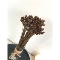 ราคา ดอกกระถินทุ่งแห้งธรรมชาติ หญ้าธรรมชาติ หญ้าแห้ง หญ้าตกแต่งธรรมชาติ มินิมอลใช้ตกเเต่งประดับบ้านใช้จัดช่อดอกไม้ (29410850140)