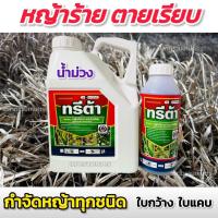ราคา ยาฆ่าหญ้า ทรีต้า (ปราบหญ้าทุกชนิด) กลูโฟซิเนต แอมโมเนียม 15% W/V SL ยาฆ่าหญ้าชนิเผาไหม้ ดูดซึม สารกำจัดวัชพืช (22467857740)