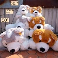 ราคา ตุ๊กตา Siberian Husky ไซบีเรียนฮัสกี้ & Shiba ชิบะ ผ้าพันคอ 30/40/50นิ้ว สุนัข ไซบีเรียน ฮัสกี้ ตุ๊กตาหมา ตุ๊กตาไซส์ใหญ่ (4320721049)