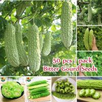 ราคา เมล็ดพันธุ์มะระจีนขาว White Bitter Gourd Seeds เมล็ดมะระขาว บรรจุ 50 เมล็ด ปลูกได้ทั่วไทย High-yield Balsam Pear Seeds (29582674183)