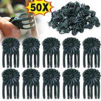 ราคา 50ชิ้นกล้วยไม้พืชสวนรูปแก้ไขคลิป-กระถางต้นไม้การเจริญเติบโตกิ่งไม้ที่งดงามที่หนีบ-ห้ากรงเล็บดอกไม้สาขาสนับสนุนผู้ถือ-พืชสีเขียวเถาจับคลิป-สวนเครื่องมือ (29573165828)