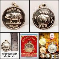 ราคา เหรียญหมูมหาลาภ เนื้ออัลปาก้า เนื้อทองฝาบาตร เนื้อทองแดงฝาบาตร หลวงปู่ญาณ ปเทสโก วัดป่าทรงธรรม (26531817683)