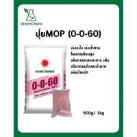 ราคา (แท้ 100%) ปุ๋ย 0-0-60 ตราดวงตะวันตราเพชร แบ่งขาย (54300580967)