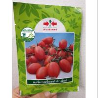 ราคา มะเขือเทศสวีทเชอรรี่ ปรางทิพย์ 20 กรัม ศรแดง (2296644391)