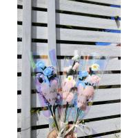 ราคา ช่อดอกไม้ลวดกำมะหยี่/ดอกเดซี่ ของขวัญ ของขวัญปัจฉิม (41921981244)