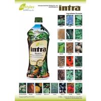ราคา ของแท้น้ำผลไม้อินทรา ช่วยสร้างภูมิคุ้มกัน น้ำผลไม้เพื่อสุขภาพ (intra) 1 ขวด (2723698914)