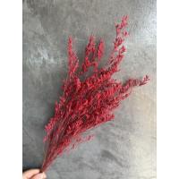 ราคา แคสเปียร์สีแดง แคสเปียร์แห้ง ดอกไม้แห้ง แซมช่อ (23404752263)