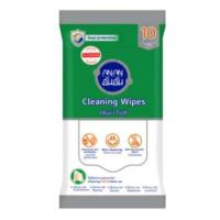 ราคา Anan alcohol cleaning wipe 10's ซองเขียว - ผ้าเปียกทำความสะอาดผสมแอลกอฮอล์ 10 แผ่น (16716271022)