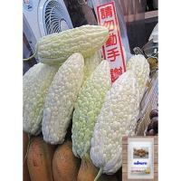 ราคา มะระขาว ไต้หวัน เมล็ดพันธุ์ OP (White bitter gourd OP) (7477533070)