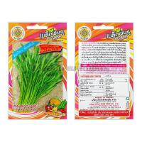 ราคา เมล็ดผักบุ้งจีน พันธุ์ผักบุ้งใบไผ่ (รหัสสินค้า A4762) (4033965015)