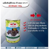 ราคา เมล็ดพันธุ์ฟักทอง ข้าวตอก 573 F1 ตราศรแดง 100g. เมล็ดพันธุ์ เมล็ดพันธุ์ผัก เมล็ดพันธุ์พืช เมล็ดพันธุ์ฟักทอง ลายข้าวตอก (12402391629)