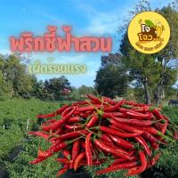 ราคา พริกชี้ฟ้าสวน แดง/เขียว 500 กรัม(ครึ่งกิโล)สดจากไร่ ใหม่จากสวน เพิ่มสีสันและรสชาติให้เมนูอาหารของคุณ เก็บสดวันต่อวัน (28912374255)