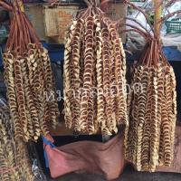 ราคา หมากสาย หมากเสียบ 1หัว(10เส้น) ยาว18-20ข้อ หมากเส้น หมากแห้ง พานหมากพลู ขันธ์ครู ขันธ์ตั้ง (21290117801)